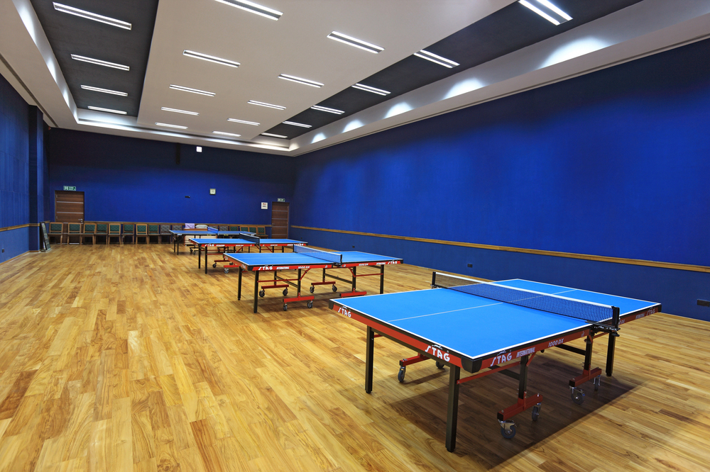 Table tennis table cost