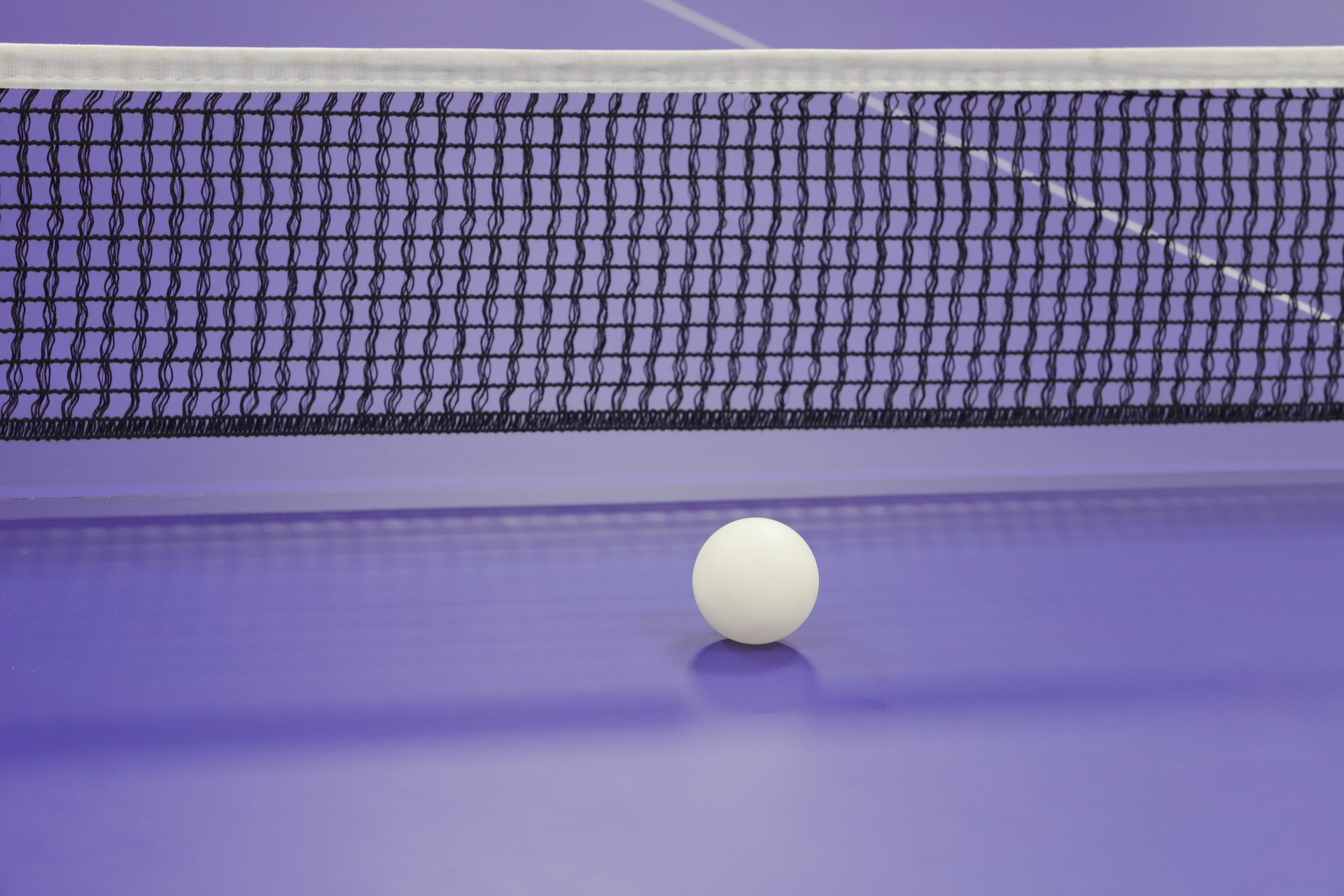 table tennis net